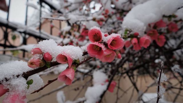 Ήλιος με δόντια και θερμοκρασίες κάτω από το μηδέν σε Φθιώτιδα και Στερεά