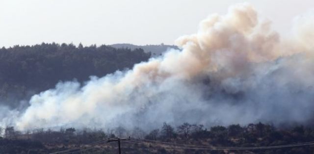 Ανάλυση: Γιατί δεν σβήνει η φωτιά στον Εβρο- Τι λένε έμπειρα στελέχη της Πυροσβεστικής και ειδικοί