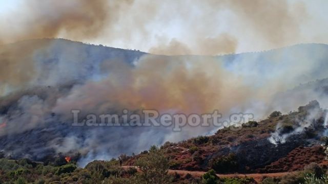 Έδωσε υπό μερικό έλεγχο την πυρκαγιά στις Πετριές η Πυροσβεστική