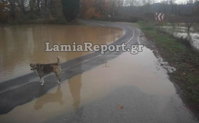 Πλημμύρισε ο Σπερχειός: Έκλεισαν οι δρόμοι για Φραντζή και Κομποτάδες