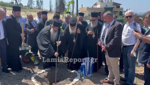 Ο Αρχιεπίσκοπος φύτεψε δέντρα στη Β. Εύβοια και έκανε μια ευχή - ΒΙΝΤΕΟ