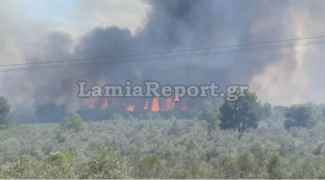 Θεολόγος: Υπό πλήρη έλεγχο η φωτιά - Άνοιξε και ο δρόμος