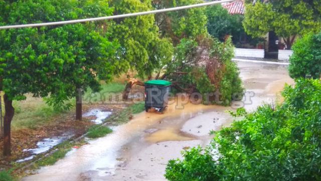 Χαλάζι και σπασμένα δέντρα στη Νέα Μαγνησία (ΒΙΝΤΕΟ)