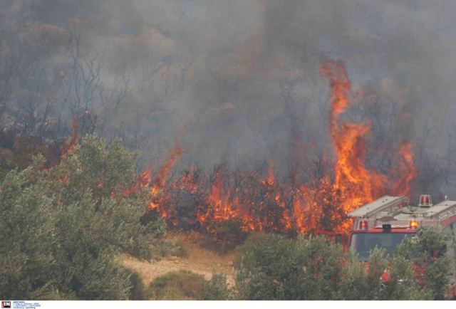 45 φωτιές και δεκάδες μηνύματα 112 σε λίγες ώρες σήμερα – Μέσα σε χωριά οι φλόγες στη Μεγαλόπολη – Η εικόνα στα υπόλοιπα «μέτωπα»