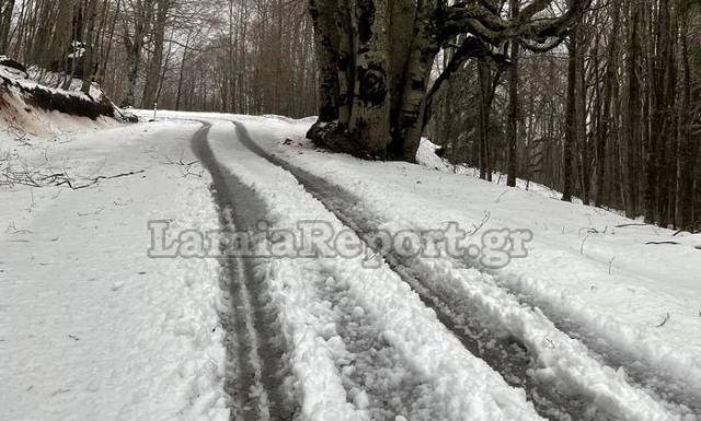 Πυκνό χιόνι στα ορεινά της Φθιώτιδας - Δείτε εικόνες