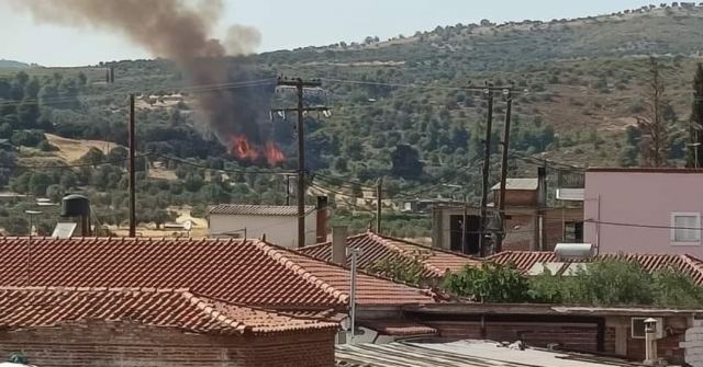 «Έπιασαν» τη φωτιά στην Εύβοια παρά τα μποφόρ