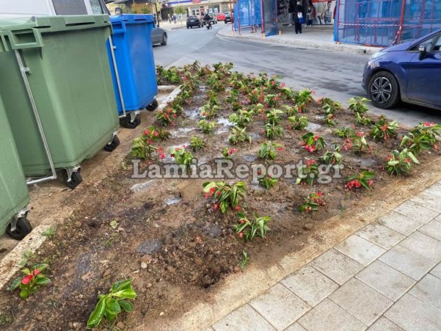 «Μην κλέβετε τα λουλούδια από τις πλατείες...»