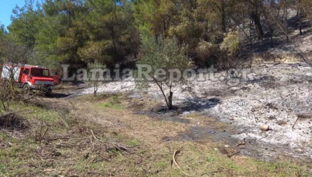 Φθιώτιδα: Πυρκαγιά σε δασική έκταση