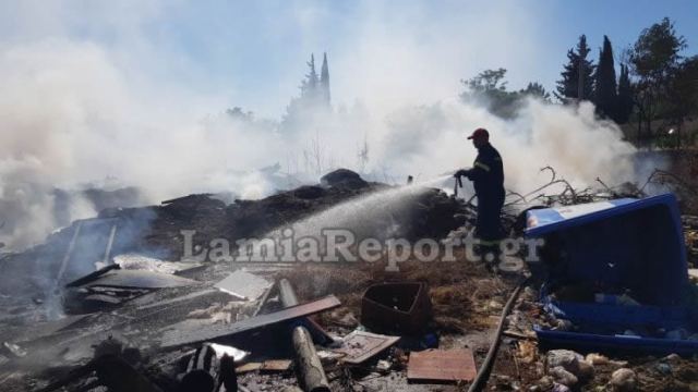 Λαμία: Μάχη με τις φλόγες μέσα στην πόλη (ΒΙΝΤΕΟ-ΦΩΤΟ)