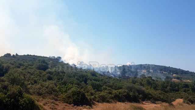 Λοκρίδα: Κινητοποίηση της Πυροσβεστικής για καπνό σε δασική περιοχή