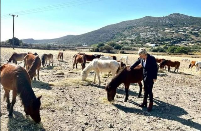 Πρωτοβουλία της Σοφίας Νικολάου για τα Σκυριανά αλογάκια