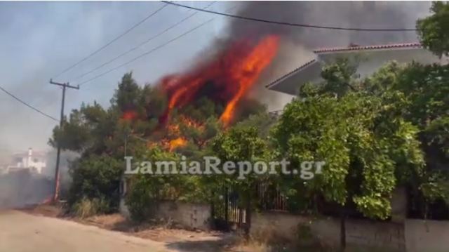 Η φωτιά στο Θεολόγο σε ένα βίντεο - Δείτε συγκλονιστικές εικόνες