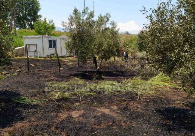 Στυλίδα: Πυρκαγιά σε ελαιοπερίβολο απείλησε κατοικία - κοντέινερ (ΦΩΤΟ)