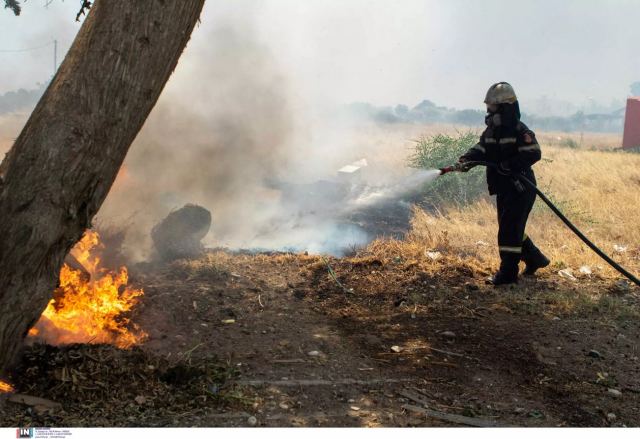 Φωτιά στην Κέρκυρα: Ανεξέλεγκτο το πύρινο μέτωπο – Μήνυμα 112 για εκκένωση του οικισμού Μερολιά