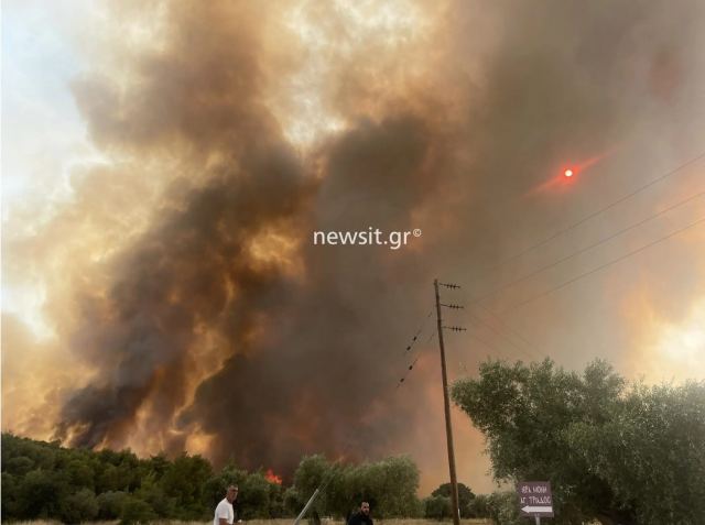 Νέο μήνυμα από το 112 για εκκένωση της Οινόης προς Ερυθρές! Μάχη με τις αναζωπυρώσεις ανάμεσα σε Μέγαρα και Μάνδρα