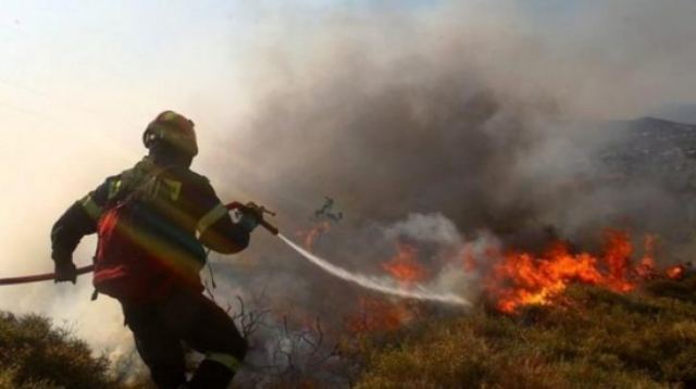 Φωτιά και στο Μαρτίνο Φθιώτιδας