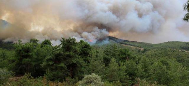 50 αγροτοδασικές πυρκαγιές το τελευταίο 24ωρο - Βαρύ πρόστιμο σε παραβάτη