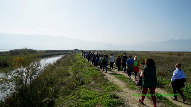 Πεζοπορική διαδρομή στο Δέλτα Σπερχειού - Μαλιακού με τον Όμιλο Φίλων Δάσους