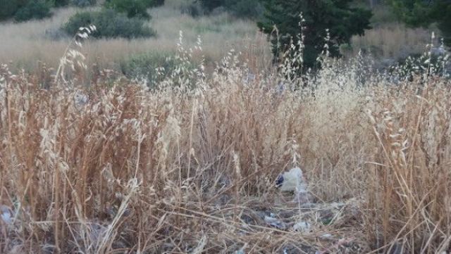 Δήμος Στυλίδας: Υποχρεωτικός καθαρισμός των οικοπέδων σας