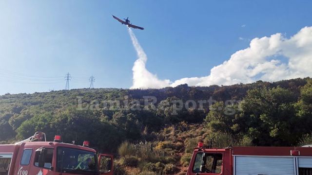 Λαμία: Μάχη με τις φλόγες με επίγεια και εναέρια μέσα (ΒΙΝΤΕΟ-ΦΩΤΟ)