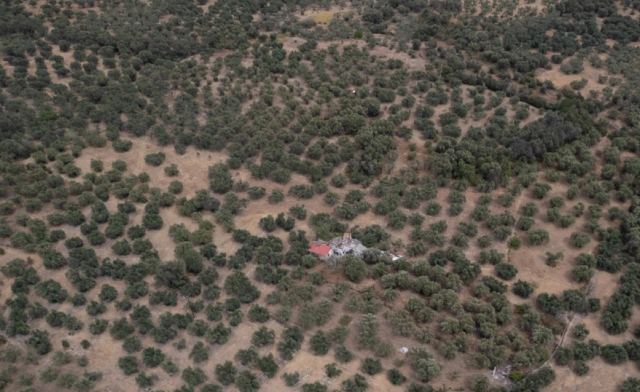 Φωτιά στον Έβρo: Σώθηκε ο αρχαίος ελαιώνας της Μάκρης, καταστράφηκε το δάσος της Κίρκης - Φωτογραφίες