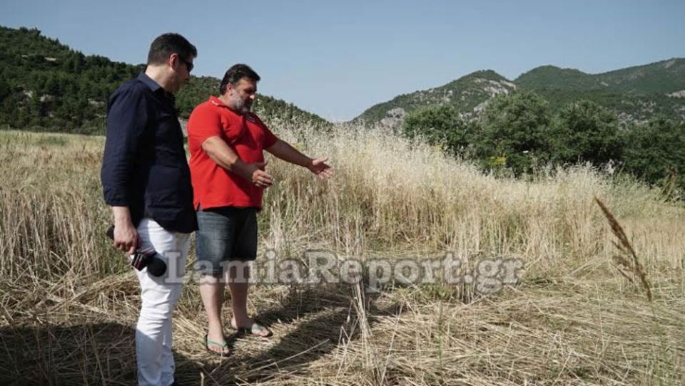 Αποστολή στην Άγναντη: Στο έλεος των αγριογούρουνων καλλιέργειες και εισοδήματα