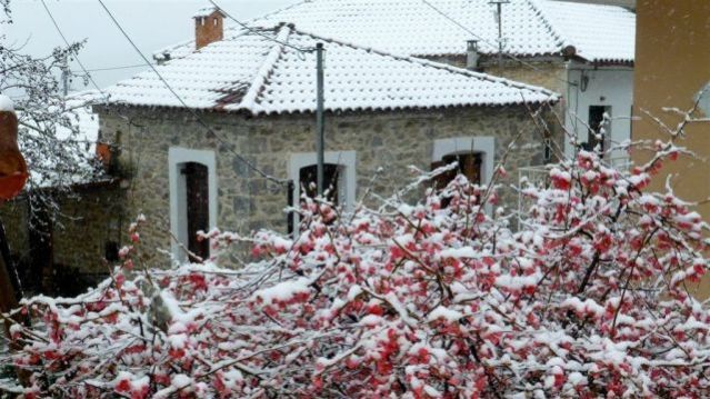 Δείτε υπέροχες φωτογραφίες από χιονισμένες περιοχές της Φθιώτιδας (Νέες ΦΩΤΟ)