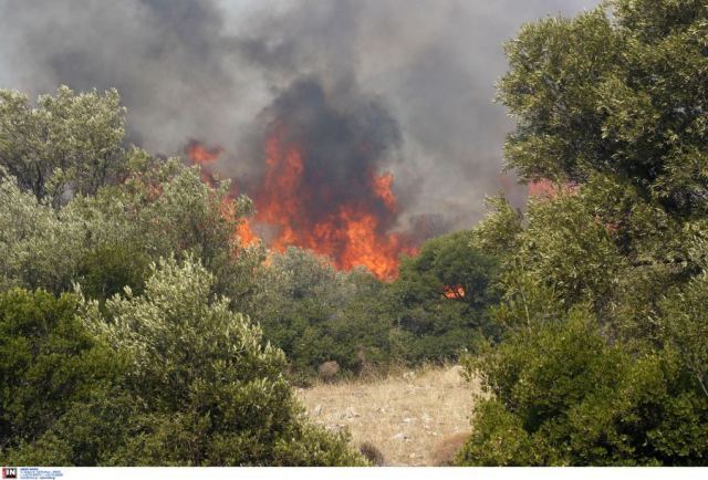 Βίντεο με την ραγδαία εξέλιξη της πυρκαγιάς στην Πάρνηθα -Πώς εξαπλώθηκε μέσα σε μισή ώρα