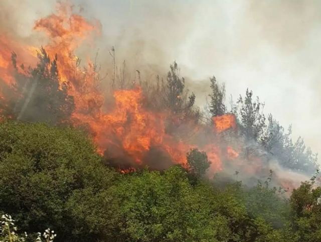 Φωτιά στη Βόλβη: Ισχυρές δυνάμεις στο σημείο, καλύτερη η εικόνα