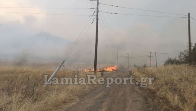 Τρεις συλλήψεις και τσουχτερό πρόστιμο για την πυρκαγιά στο Δομοκό