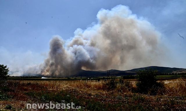 Αναζωπύρωση τώρα στο Σέσκλο - Μήνυμα από το 112 για εκκένωση 5 περιοχών