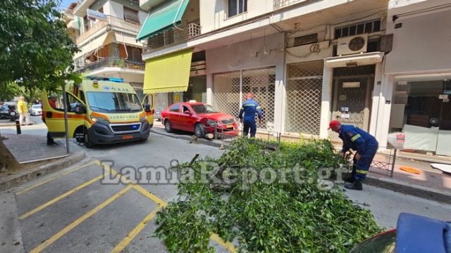 Λαμία: Ανέβηκε στο πεζοδρόμιο κι έκοψε δέντρο μετά από τρακάρισμα (ΒΙΝΤΕΟ-ΦΩΤΟ)