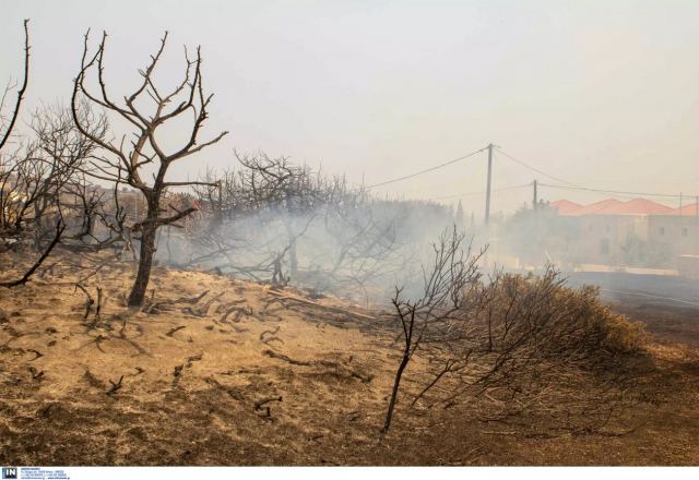 Μάχη με τις αναζωπυρώσεις στο Βάτι της Ρόδου, εκκενώνεται το χωριό Λούτσες στην Κέρκυρα - Μαίνεται το μέτωπο στην Κάρυστο