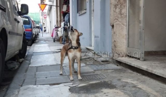 Συνεχίζει να συγκινεί ο 