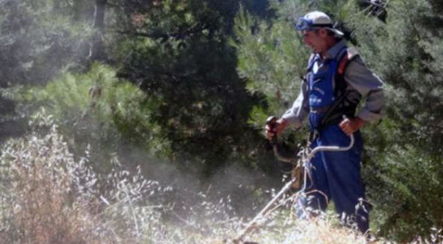 Αυτή είναι η νέα Πυροσβεστική Διάταξη για τον υποχρεωτικό καθαρισμό οικοπέδων