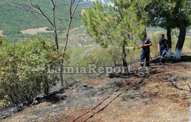 Φθιώτιδα: Πρόλαβαν δασική πυρκαγιά κοντά σε πρατήριο - Δείτε εικόνες