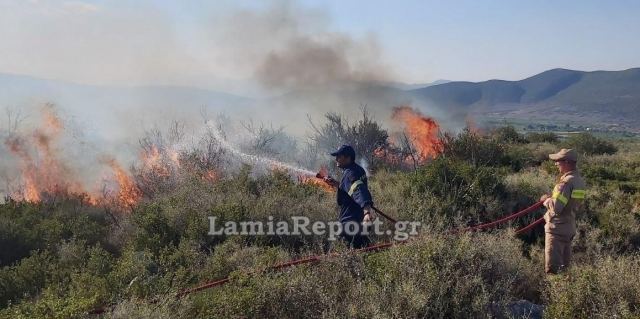 Μάχη με τις φλόγες σε Φθιώτιδα και Βοιωτία