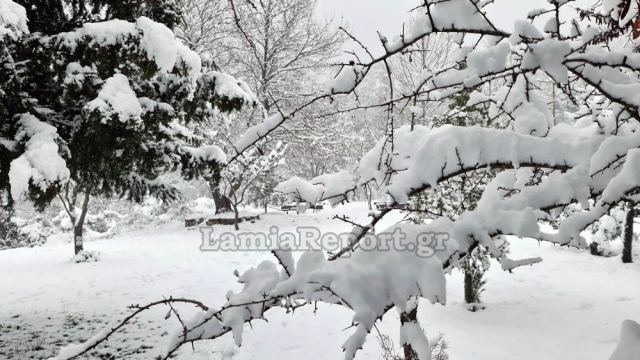 Στερεά: Σε ποια περιοχή ο υδράργυρος «πάγωσε» στους -19