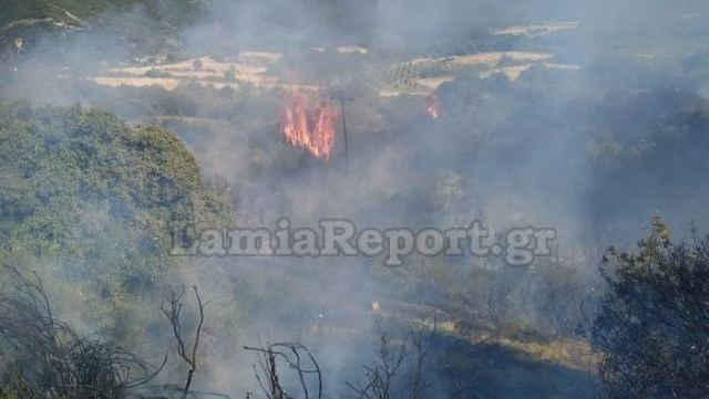 Πρόλαβαν την πολύ επικίνδυνη πυρκαγιά στο Λογγίτσι - Δείτε εικόνες