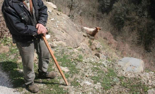 Ώρες αγωνίας για ηλικιωμένο βοσκό