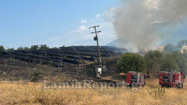 Φθιώτιδα: Πρόλαβαν τα δύσκολα σε πυρκαγιά κοντά σε φωτοβολταϊκά