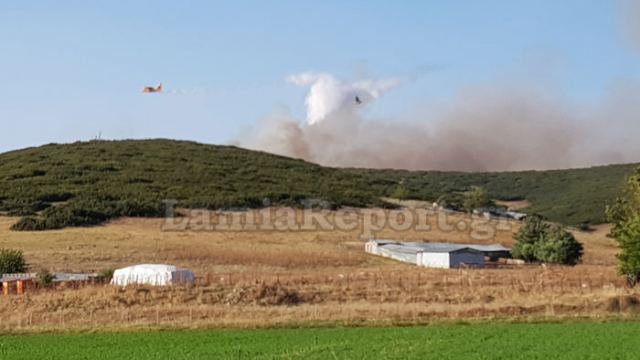 Μάχη με τις φλόγες σε πολλά μέτωπα στα βουνά του Δομοκού