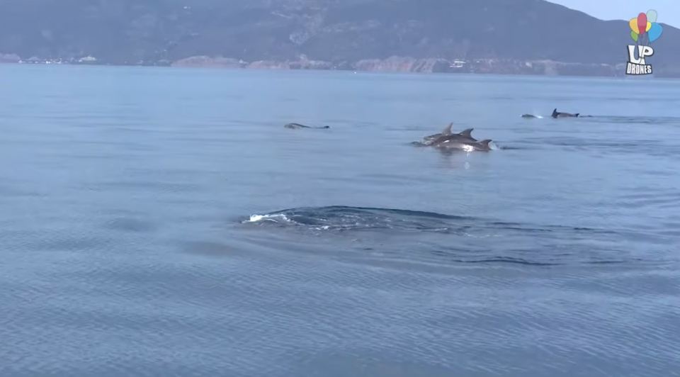 Φθιώτιδα: Ο πανέμορφος 