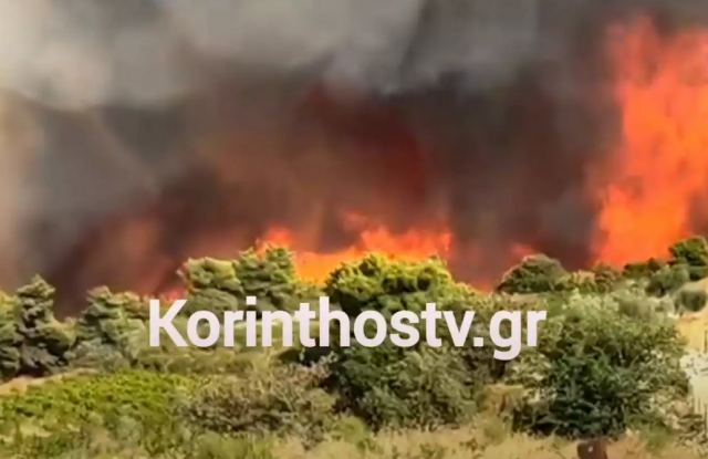 Φωτιά στη Νεμέα: Αναζωπύρωση στην περιοχή Κούτσι, συναγερμός στην Πυροσβεστική