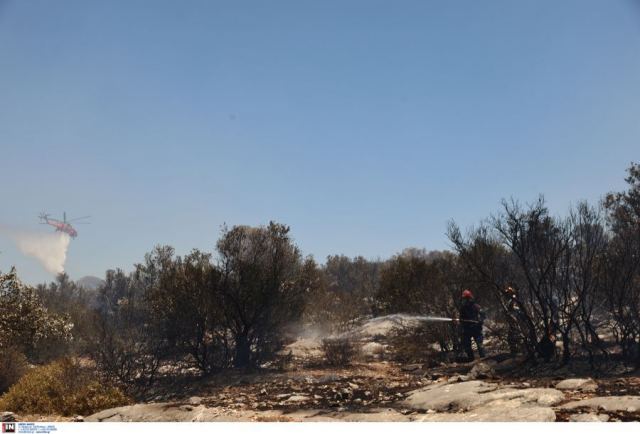 Φωτιά στην Αγία Μαρίνα Κορωπίου κοντά σε σπίτια: Εκκενώνονται τρεις περιοχές - Που έχει διακοπεί η κυκλοφορία