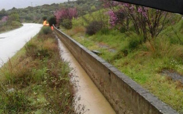 Έσωσαν από πνιγμό δύο αδέσποτα οι Πυροσβέστες της Μακρακώμης