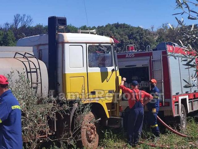 Υπό έλεγχο η πυρκαγιά στο Κάστρο Βοιωτίας