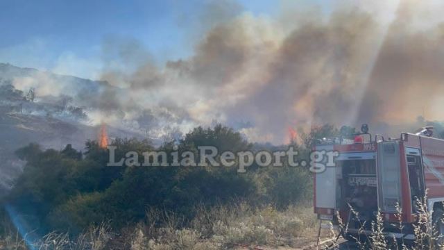 «Μου άρεσε να βλέπω τα πυροσβεστικά να σβήνουν τις φλόγες», είπε 20χρονος που ομολόγησε εμπρησμούς στην Εύβοια