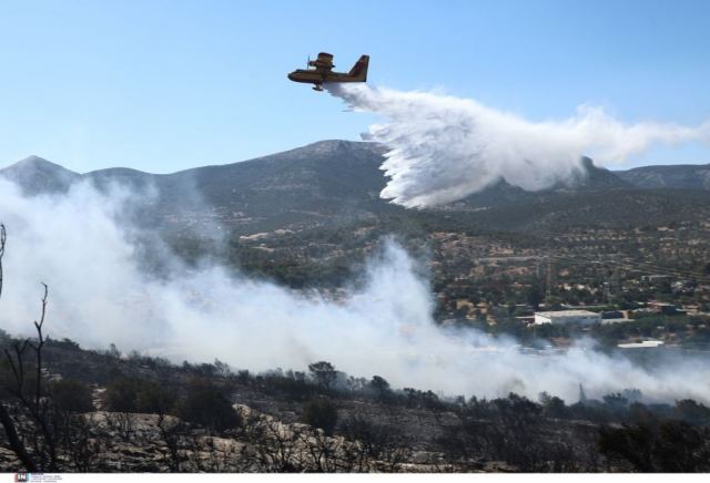 Καίγεται δάσος στη Μεγάλη Σπηλιά Λακωνίας - Πυρκαγιά και στον Ασπρόπυργο