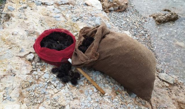 Συνεχείς έλεγχοι του Λιμενικού για παράνομη αλιεία